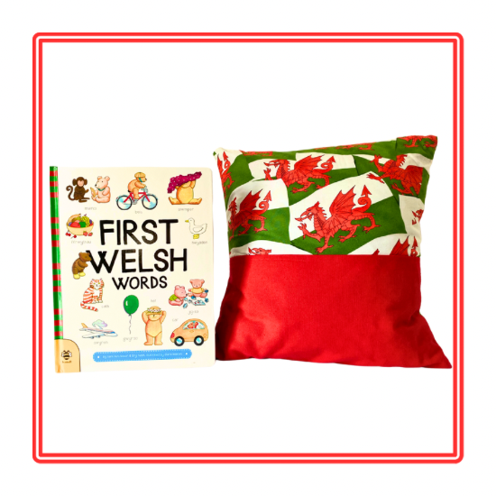 Welsh Dragons Children's Story Cushion