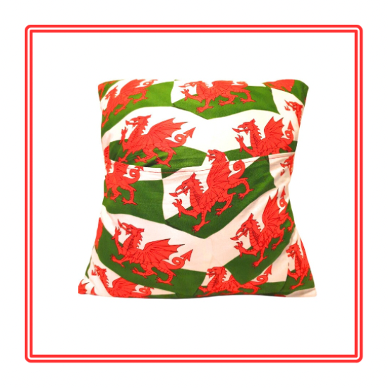 Welsh Dragons Children's Story Cushion