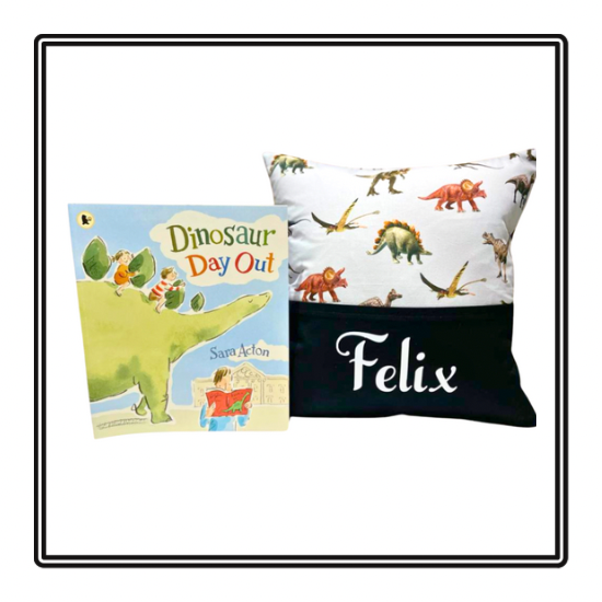 Dinosaur Children's Story Cushion